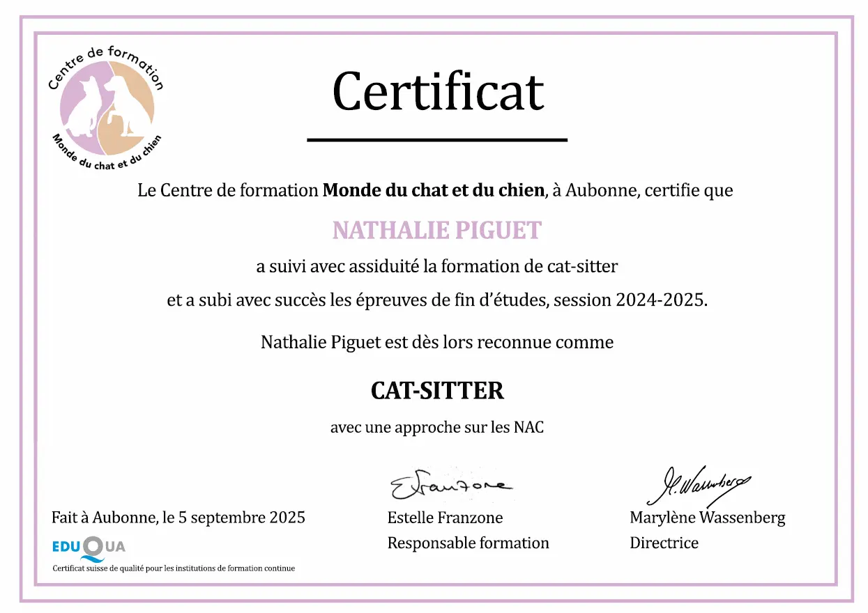 Miniature certificat